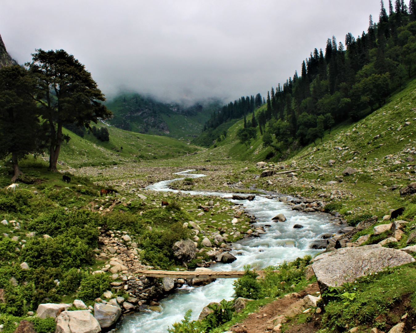 Hampta Pass Trek
